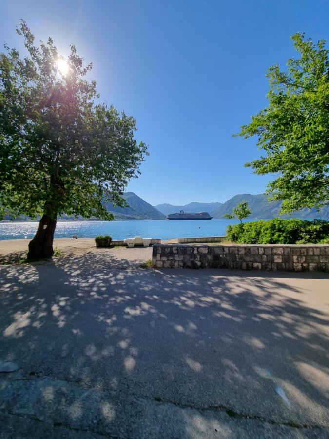 Apartment On The Shore Of The Bay Of Kotor With Free Wi-Fi Esterno foto