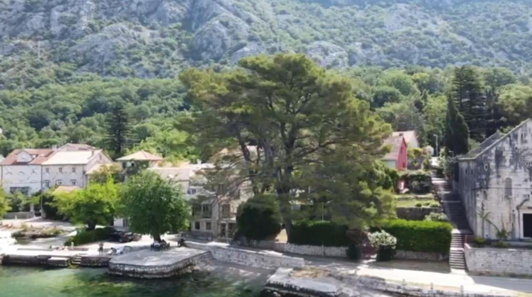 Apartment On The Shore Of The Bay Of Kotor With Free Wi-Fi Esterno foto